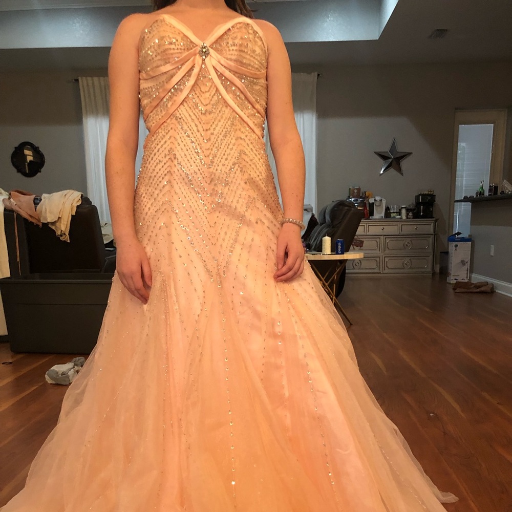 Posh Precious Strapless Gown NWT size 8